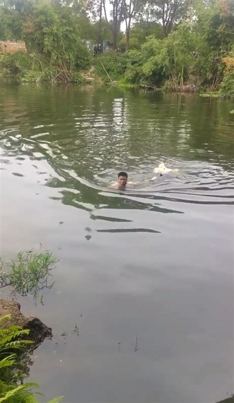 女子坠河漂浮水面，男子下水成功营救，目击者：他没有丝毫犹豫 财经头条