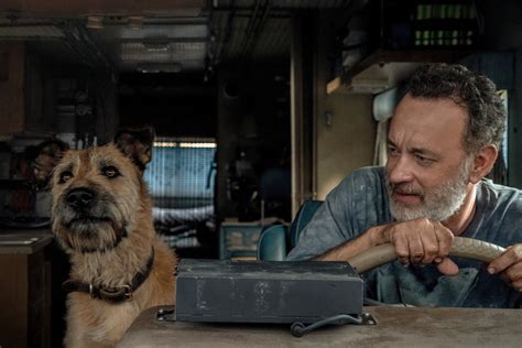 Finch stars Tom Hanks, but more importantly, a very good dog | SYFY WIRE