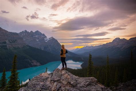 Things To Know Before Visiting Peyto Lake Banff Banff National