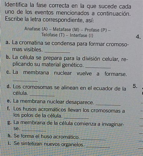 Ayudaaa Por Favor Es Para Hoy Ayudaa Ayudaaa Brainly Lat