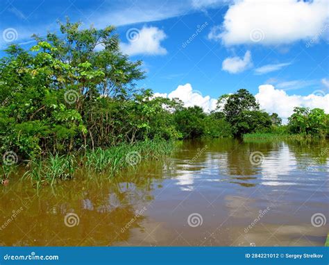 The Amazon River in Peru, South America Stock Photo - Image of water ...