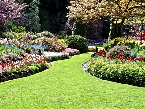 Home - Mike Patrick Landscaping
