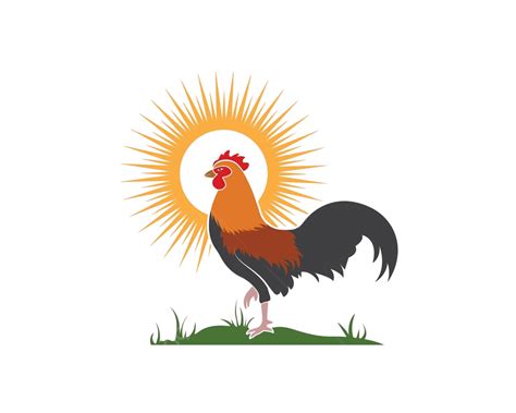 Rooster Logo Vector Illustration Template Traditional Red Bird Vector Traditional Red Bird