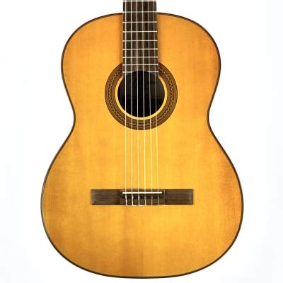 Takamine G Natural Gloss G Series Reverb