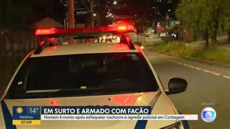 Homem Morto A Tiros Ap S Esfaquear Cachorro E Atacar Policial Militar