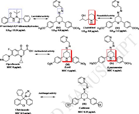 Structure Activity Relationship Download Scientific Diagram