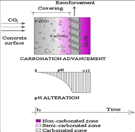 Illustration Carbonation Process And Ph Variation In Concrete With Time