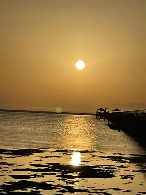 Компания "Alem Education" - образование за рубежом - Высшее образование