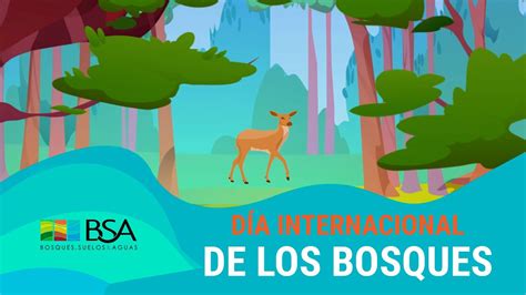 D A Internacional De Los Bosques Bsa Youtube