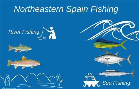 Fishing In Spain All You Need To Know