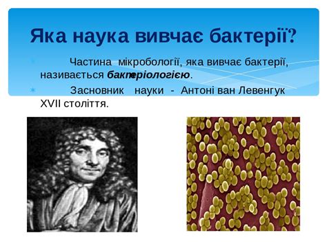 Презентація "Бактерії - найменші одноклітинні"