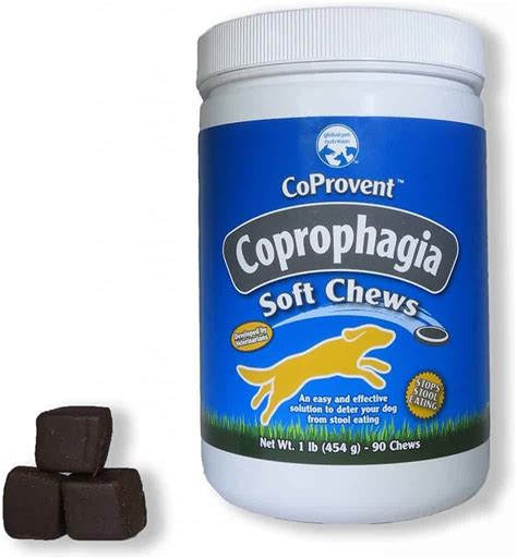 2025's 8 Best Coprophagia Deterrents For Dogs To Stop Poop Eating