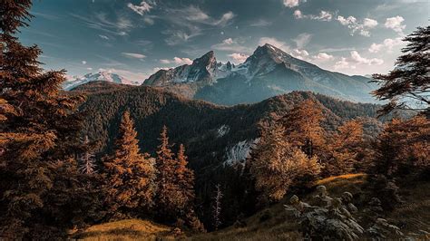 HD wallpaper: germany, trees, bavaria, alps, bavarian alps ...