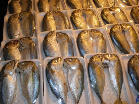 картинки : Пища, морепродукты, Рынок, Таиланд, сардина, сельдь ...