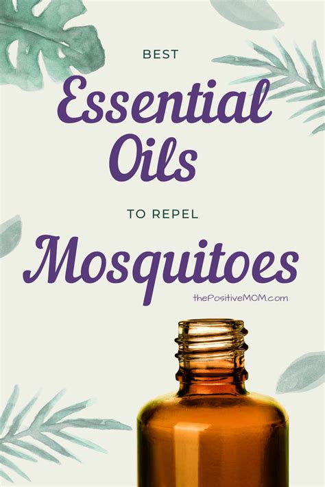 Best Essential Oils To Repel Mosquitoes Repellent Recipes