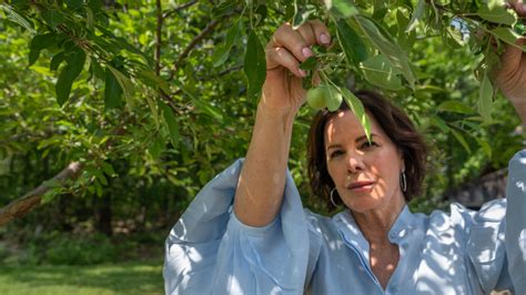 At Home With Marcia Gay Harden The New York Times