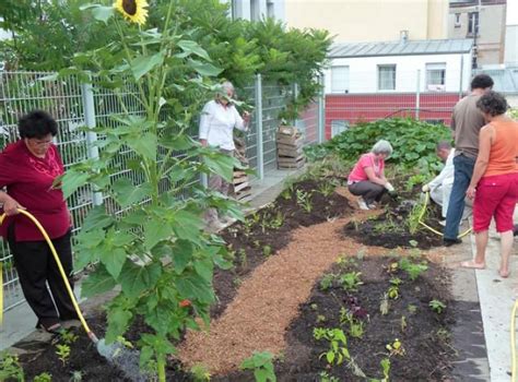 Comment réaliser une culture en lasagne au jardin potager Jardin