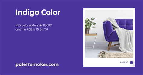 Indigo Color - HEX #4B369D Meaning and Live Previews - PaletteMaker