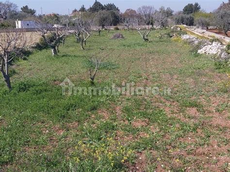 Terreno Agricolo Strada Comunale Marinesca Polignano A Mare Rif