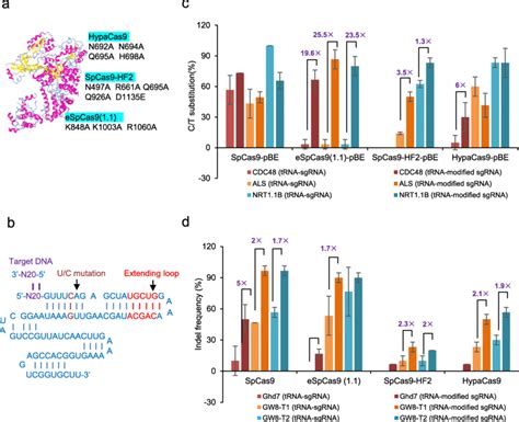 Multiplex Nucleotide Editing Using SpCas9 And SgRNA Variants A