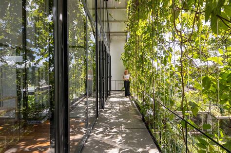 A Glass Stacked House In Vietnam Shrouded In Greenery