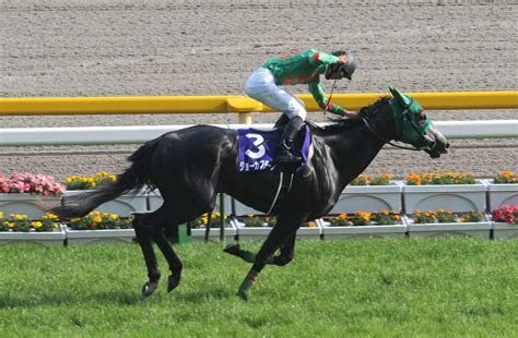 藤岡康太騎手死去 武豊が追悼「康太の思いを胸に乗っていきたいと思います」 競馬写真ニュース 日刊スポーツ