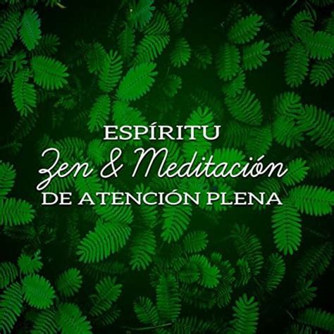 Espíritu Zen And Meditación De Atención Plena Masaje Yoga Relajación