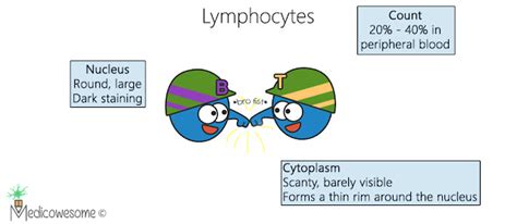 Immense Immunology Insight