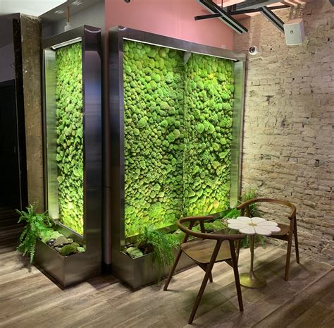 Moss Walls - Indoor – Moss Acres