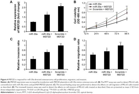 Mir 30a Suppresses Osteosarcoma Proliferation And Metastasis By Downre