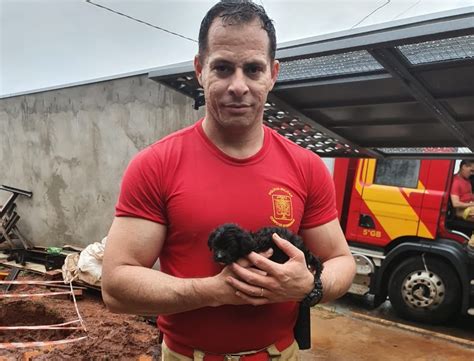 VÍDEO Cachorrinho cai em fossa e é resgatado pelos bombeiros na região