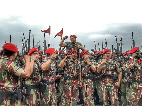 Kopassus Hd Phone Wallpaper Pxfuel