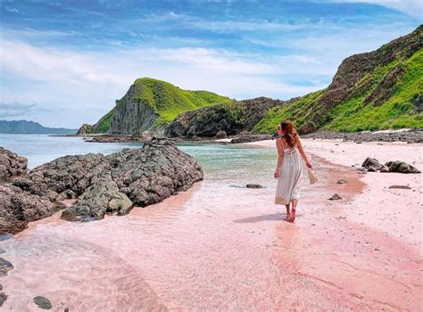 Home TRAVEL WISE KOMODO 4 DAYS 3 NIGHTS FLORES TO LOMBOK LOMBOK