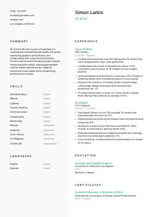 3D Artist Resume Example