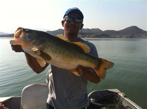 Lake Baccarac Lodge Fishing Report - International Bass Fishing - Bass ...