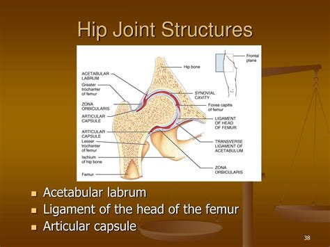 Ppt Chapter 9 Joints Powerpoint Presentation Free Download Id266616