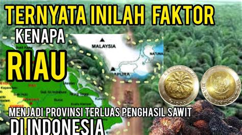 Inilah Faktor Kenapa Riau Memiliki Kebun Sawit Terluas No Di