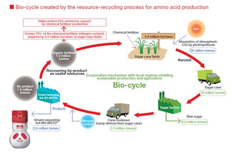 120 Sustainability Report Infographics By Elaine Cohen Csr