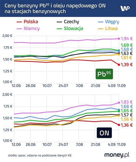 Czy Op Aca Si Tankowa W Polsce Czesi I Niemcy O Niskich Cenach Paliw