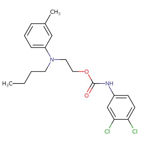 2 Butyl 3 Methylphenyl Amino Ethyl 3 4 Dichlorophenyl Carbamate