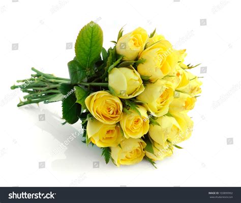 Beautiful Bouquet Of Yellow Roses Stock Photo 103899992 Shutterstock