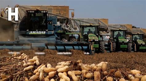 Modern Peanut Harvesting Machines How Peanut Butter Is Made In