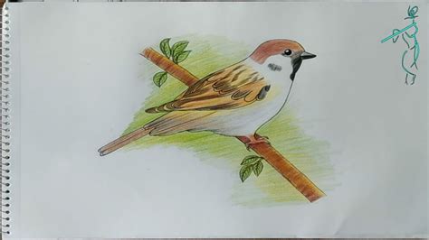 Very easy way to draw Sparrow sketch || How to draw a bird step by step ...