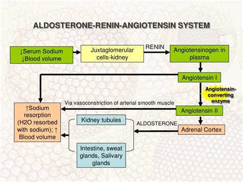 Raas System Simple Graph Raas System