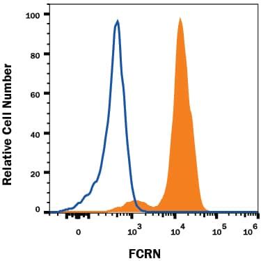 Human FCRN Alexa Fluor 647 Conjugated Antibody IC8639R 100UG R D Systems