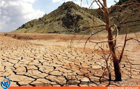 17 De Junio Día Mundial De Lucha Contra La Desertificación Y La Sequía