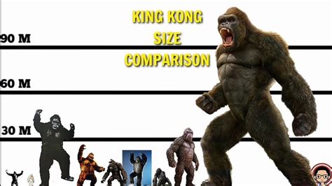 Size Comparison All Kongs Up Till Now Rmonsterverse