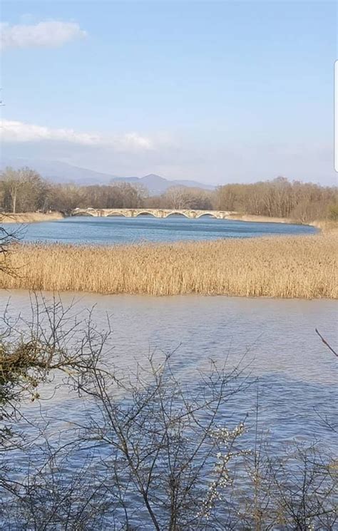 Riserva Naturale Regionale Ponte A Buriano E Penna Birdingplaces