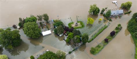 Hochwasser in Hessen Wasserstände am Rhein steigen weiter B42