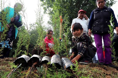 Pone en marcha CGE programa de reforestación 2018